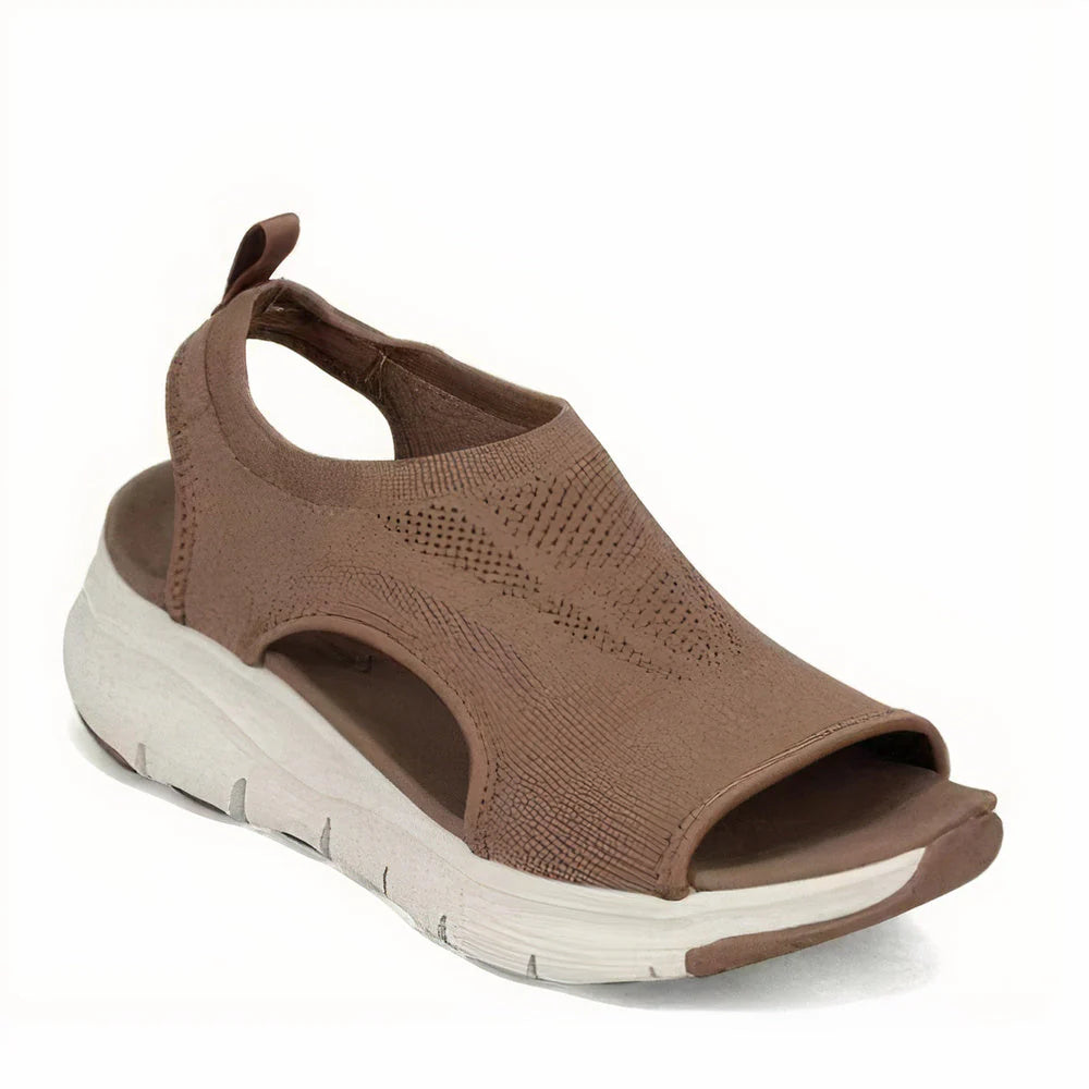 Brown / 12